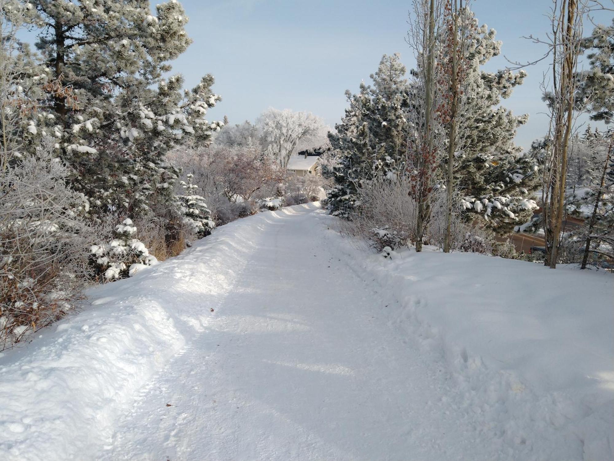 U Of A Homestay, Trails & Whyte Ave 埃德蒙顿 客房 照片