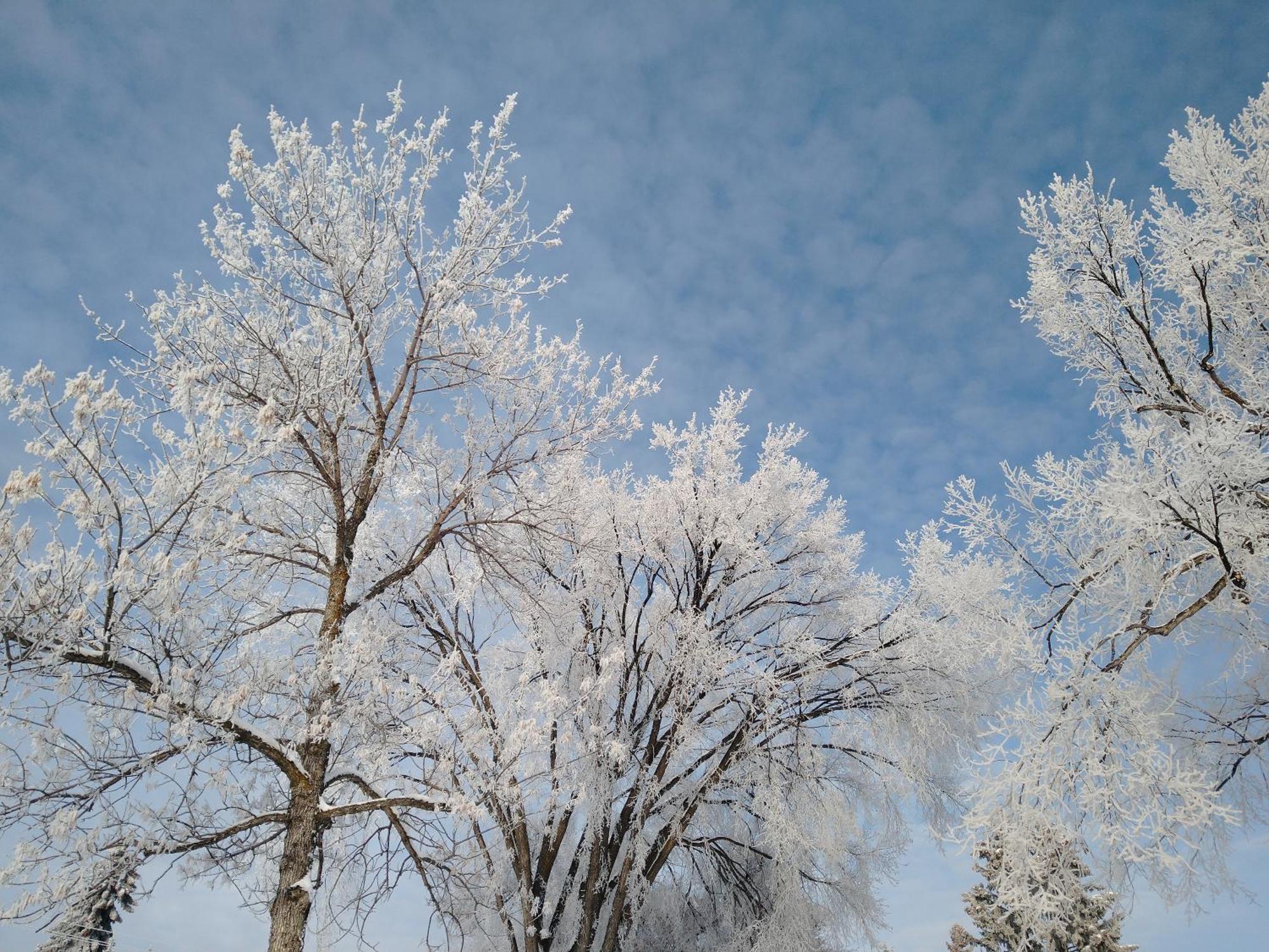 U Of A Homestay, Trails & Whyte Ave 埃德蒙顿 客房 照片