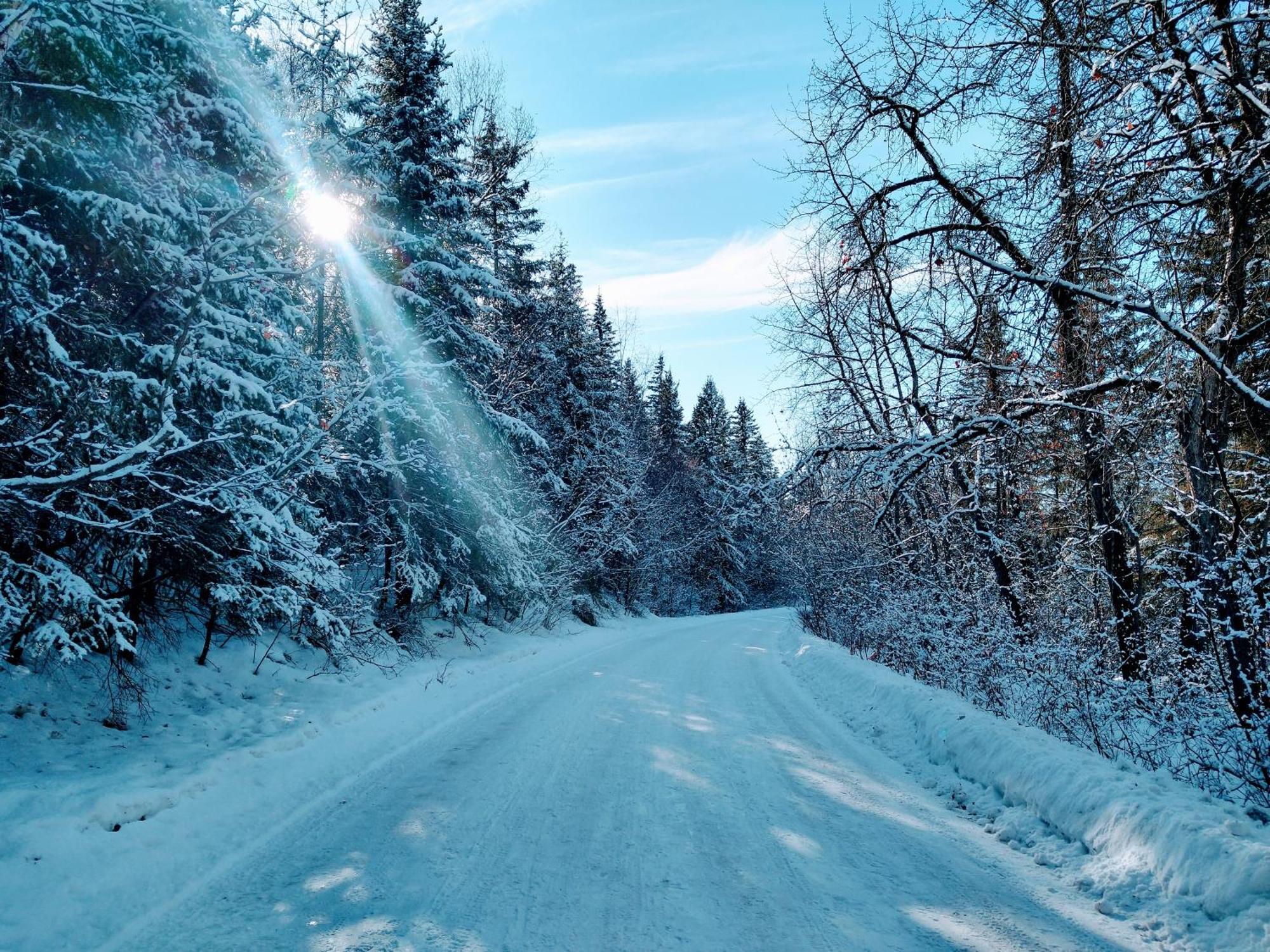U Of A Homestay, Trails & Whyte Ave 埃德蒙顿 客房 照片