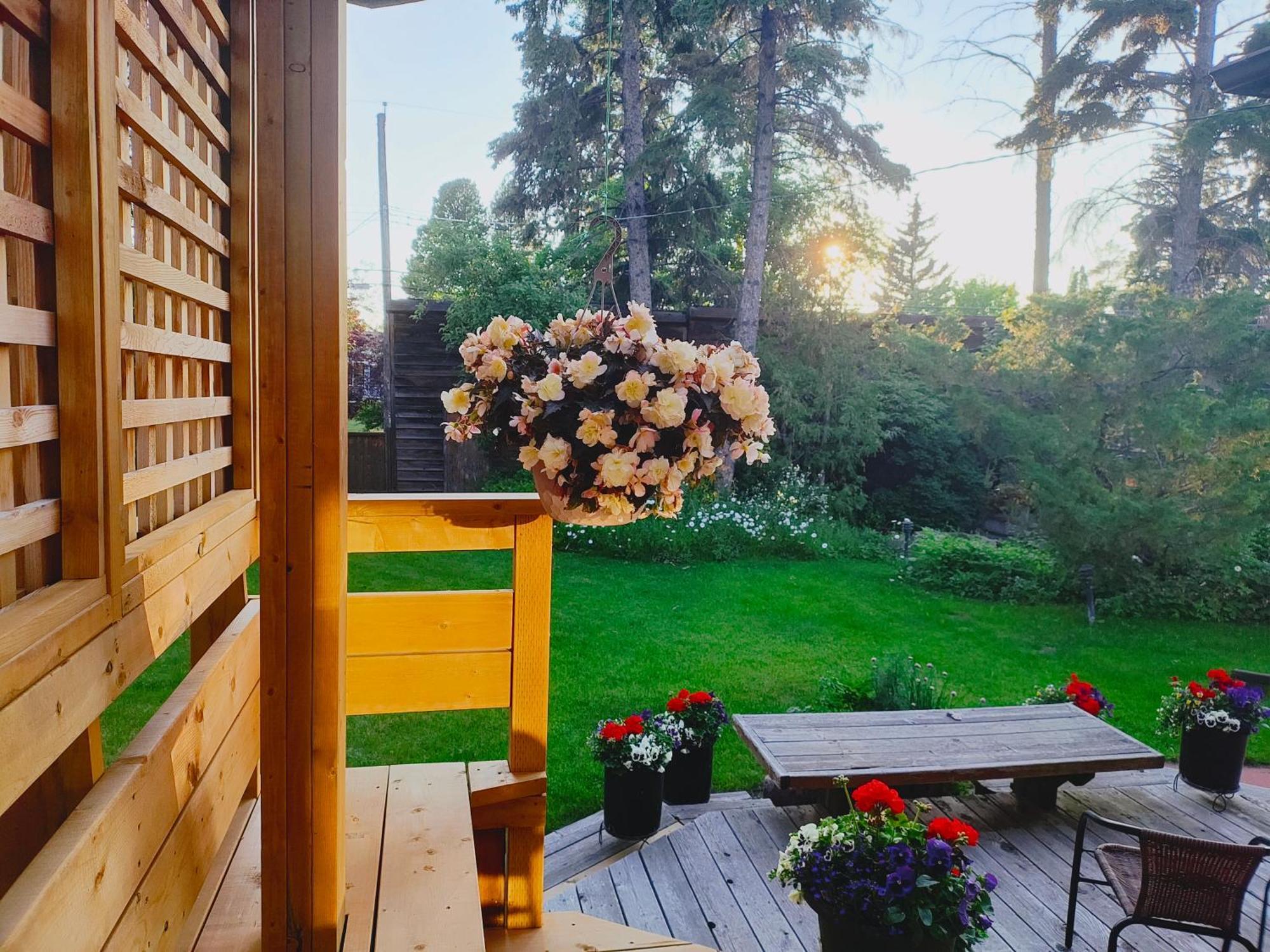 U Of A Homestay, Trails & Whyte Ave 埃德蒙顿 外观 照片